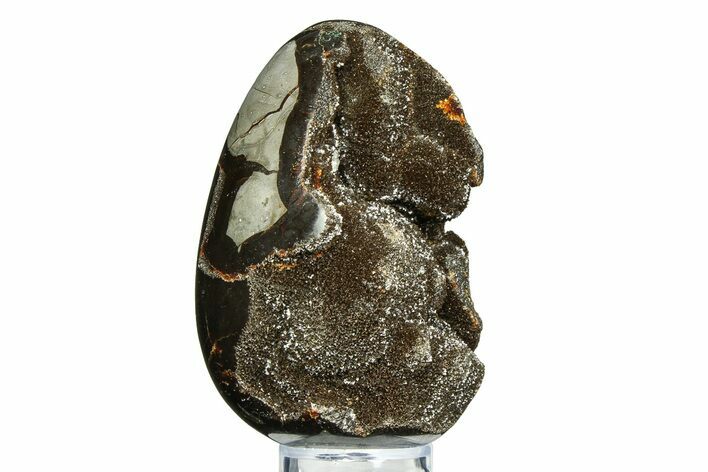 Septarian Dragon Egg Geode - Sparkly Black Crystals #308813